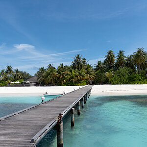 DSC_9684.jpg