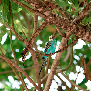 DSC_9717.jpg