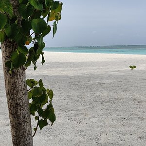 IMG_20210625_120045.jpg