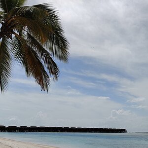 IMG_20210627_094813.jpg