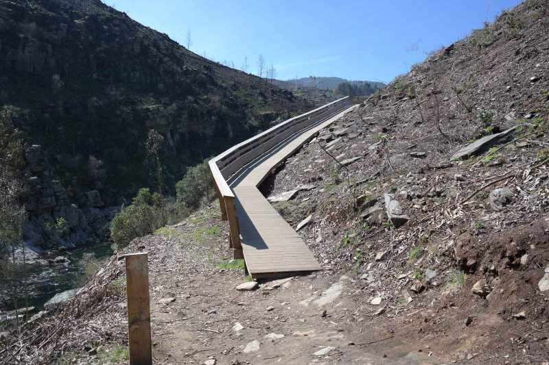 01010619