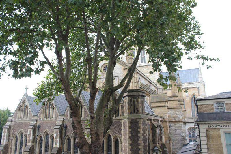 1 Southward Cathedral