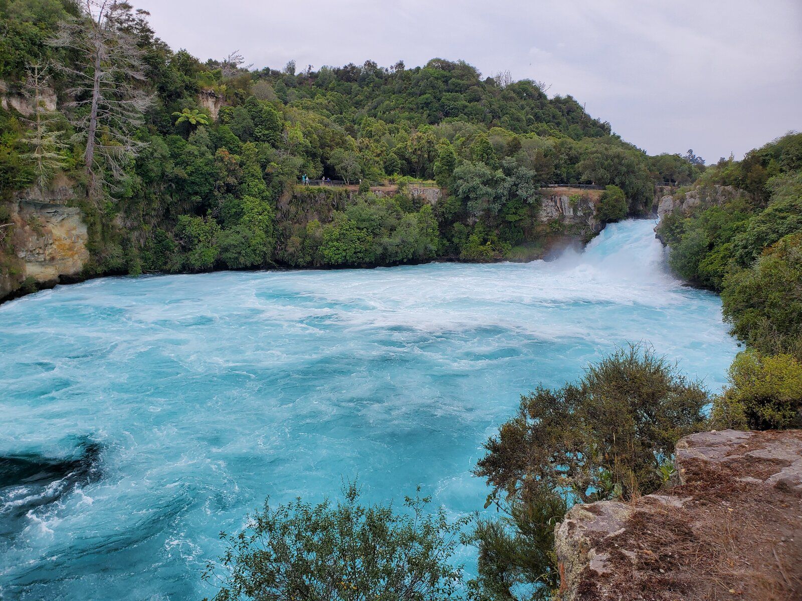 100.jpg
