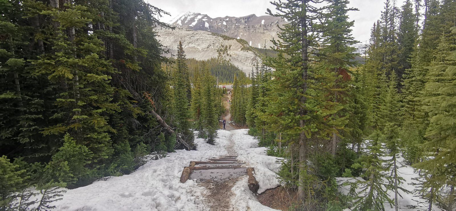 100 Rockies.jpg