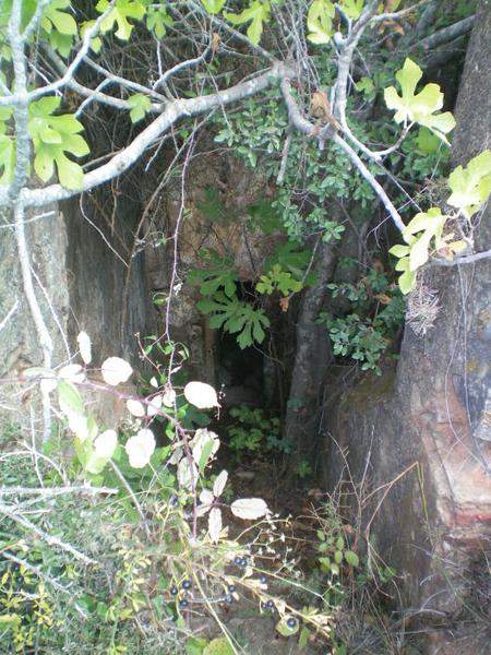 100_0606.JPG