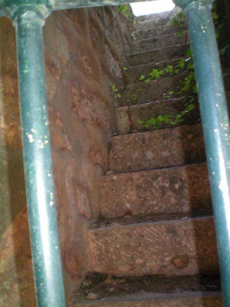 100_0616.JPG