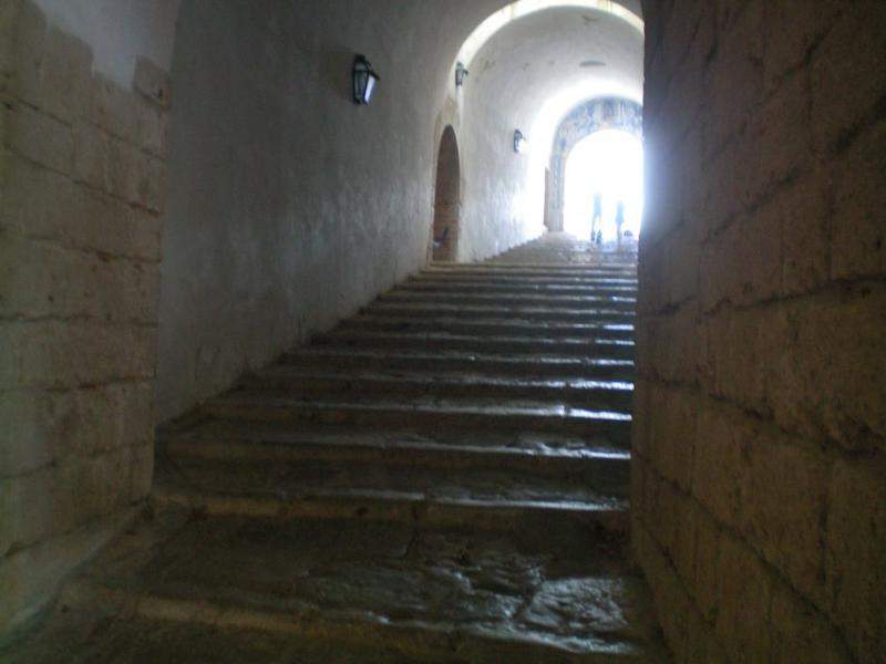 100_0622.JPG