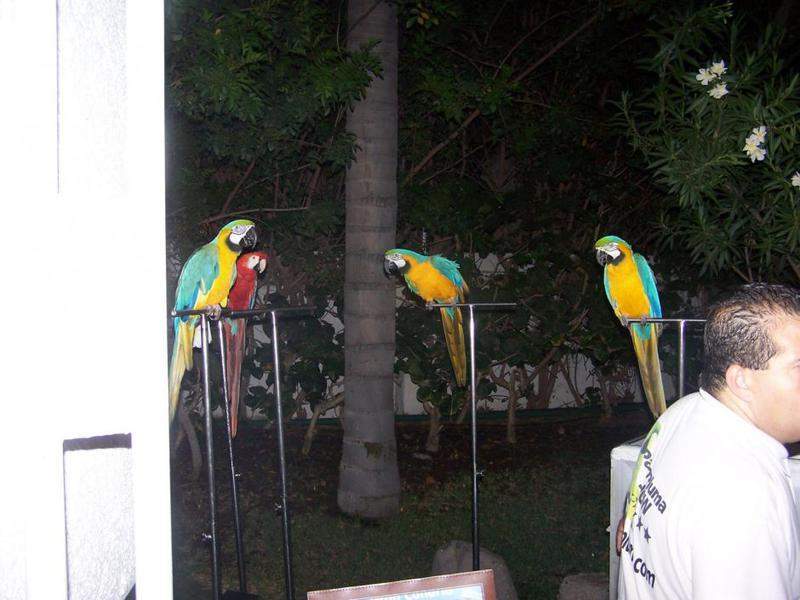 100_5030.JPG