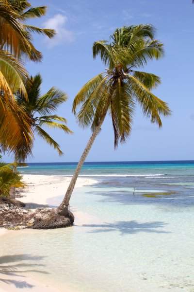 107 - SAONA IMG_7642