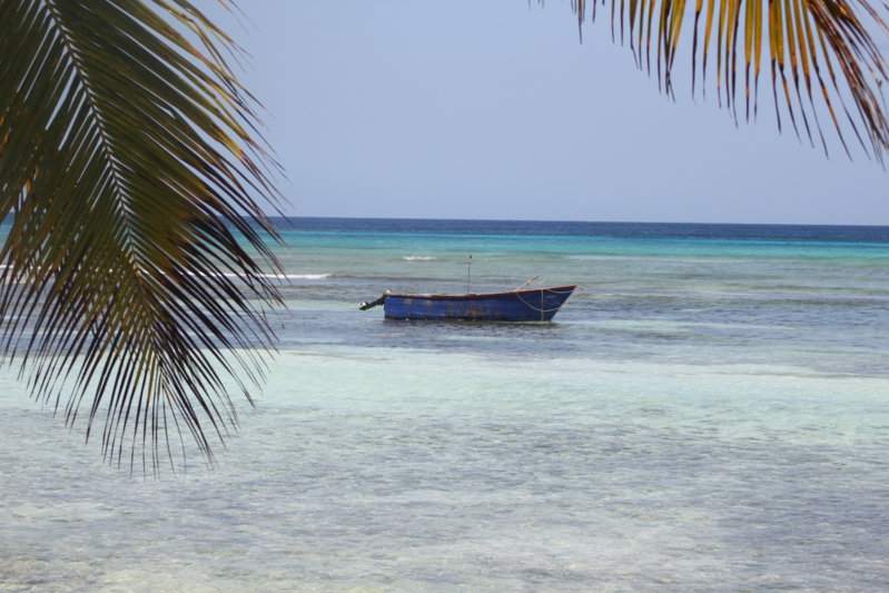 108 - SAONA IMG_7641