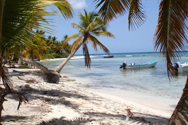 109 - SAONA IMG_7638