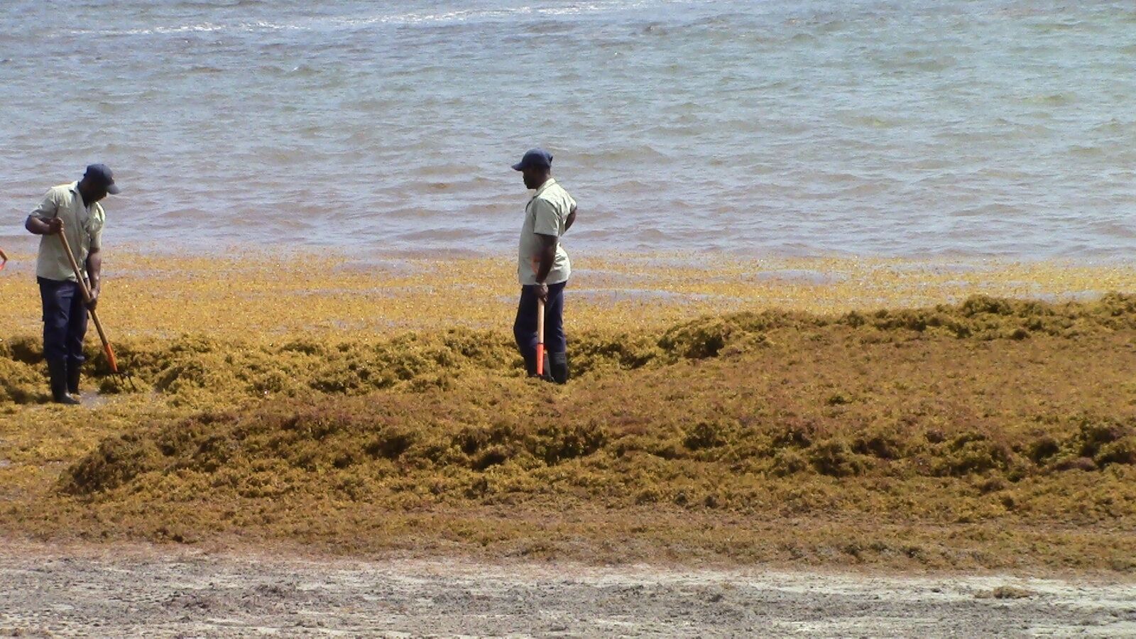11.agua 3 (2).JPG