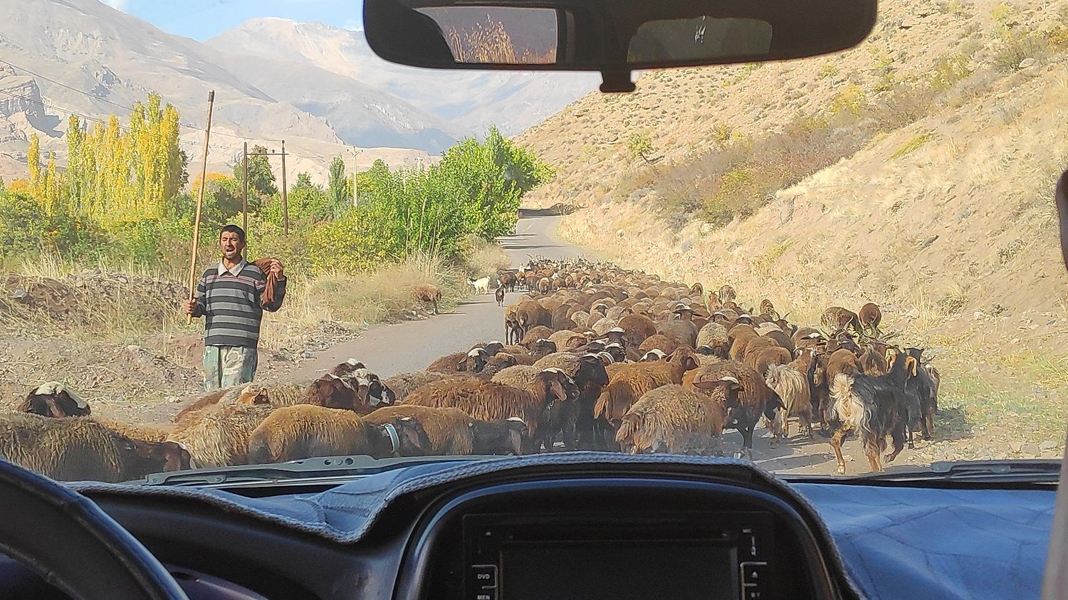 11 Alamut.jpg