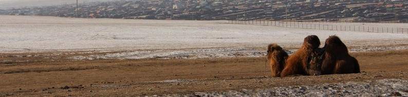 11 Ulaanbaatar - IMG_3169