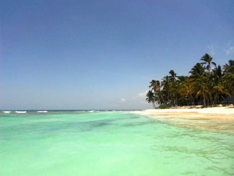 111 - SAONA DSCF1413