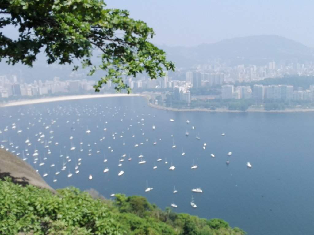 11pão