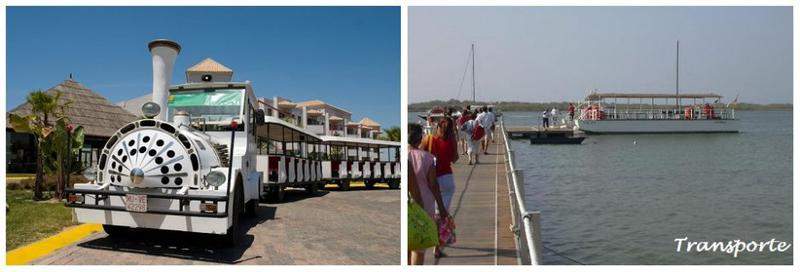 12 transporte