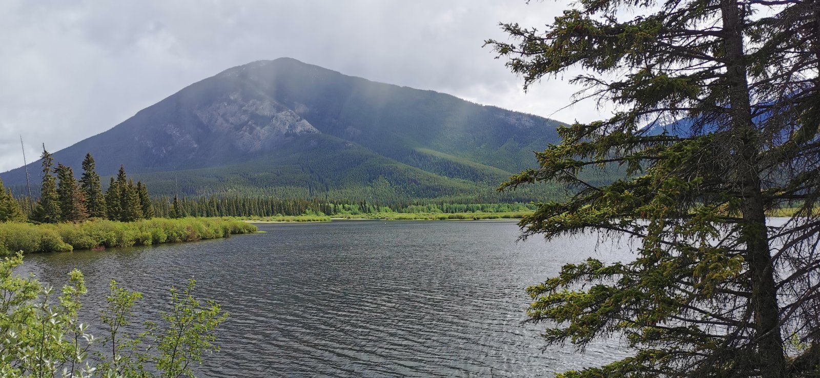 120 Rockies.jpg