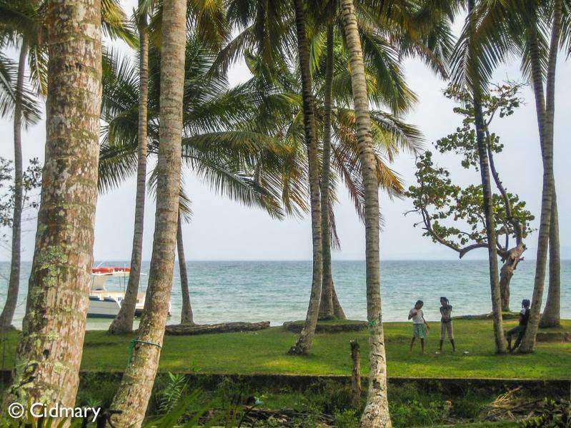 129 (1 De 1)
