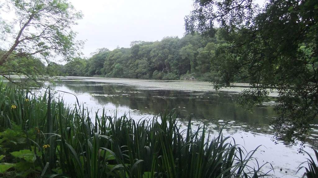 129 - Culzean