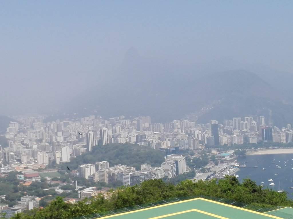 12pão