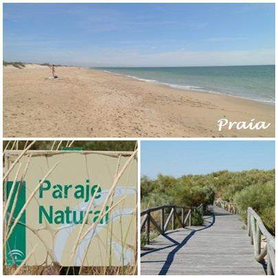13 praia