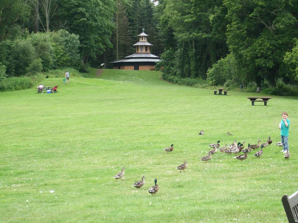 131 - Culzean