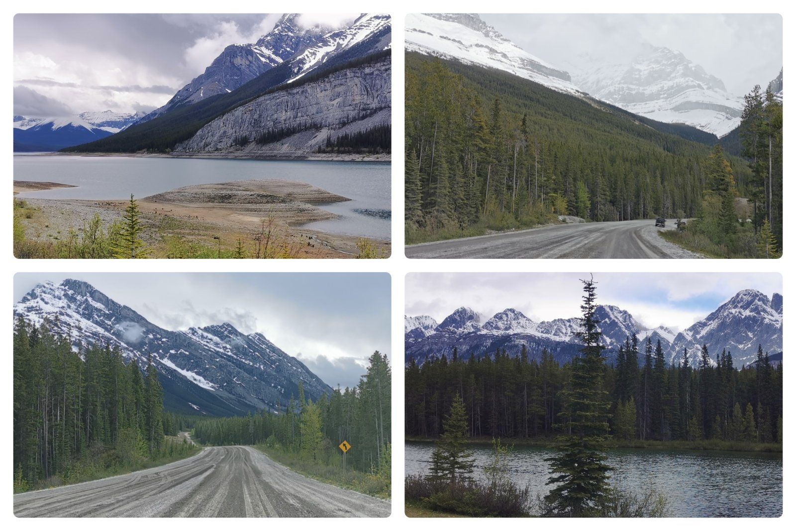 133 Rockies.jpg