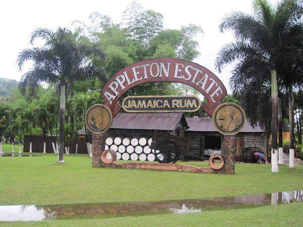 14.Appleton