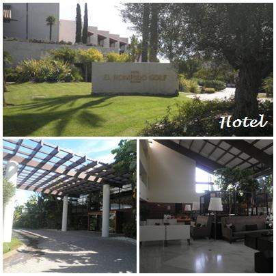 14 precise resort