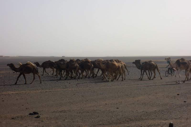 16 - Merzouga