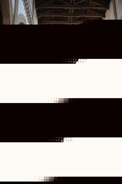 19 (3)