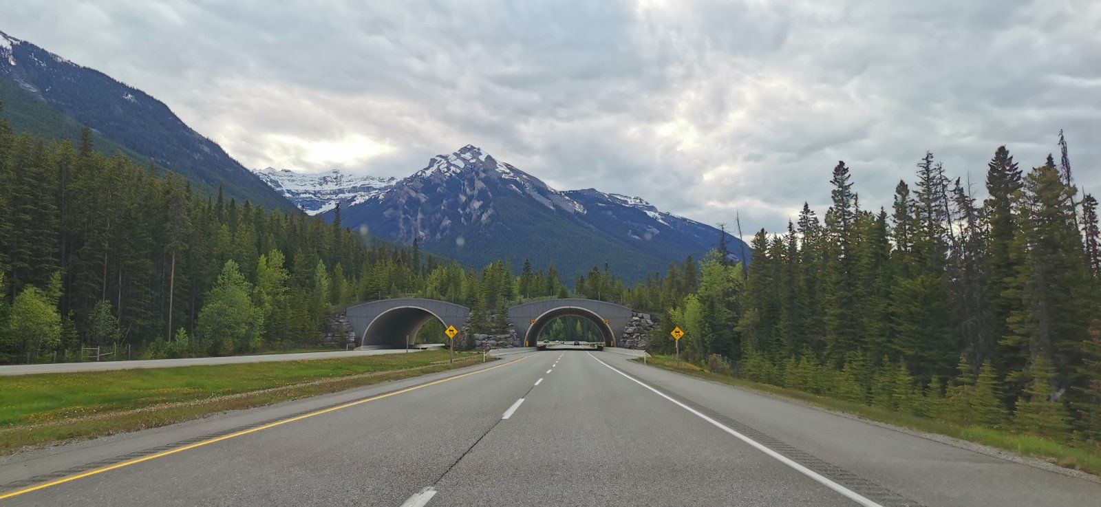 19 Rockies.jpg