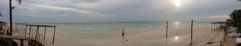 19