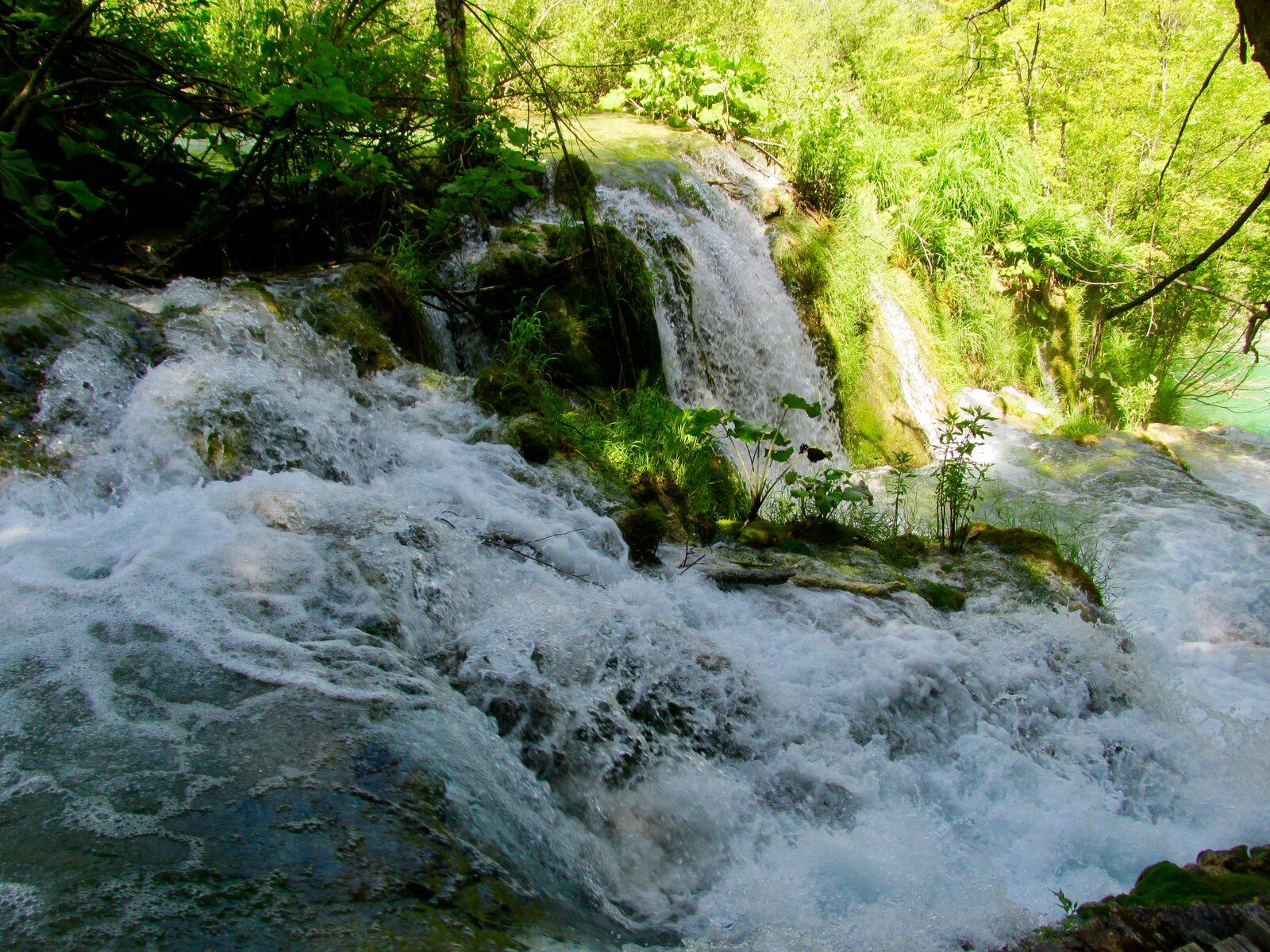1980-01-01 00.16.47.jpg