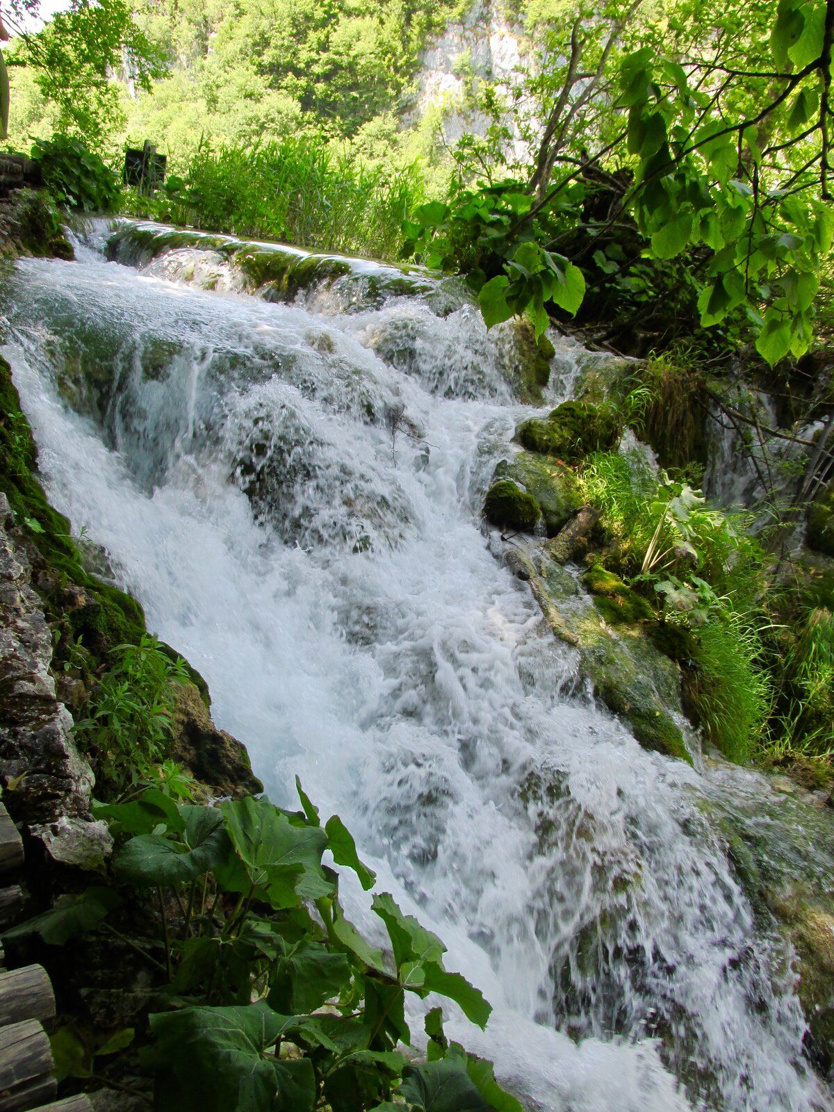 1980-01-01 00.17.06.jpg