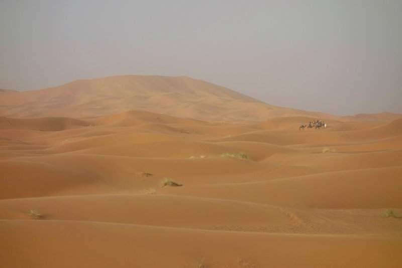 2 Deserto