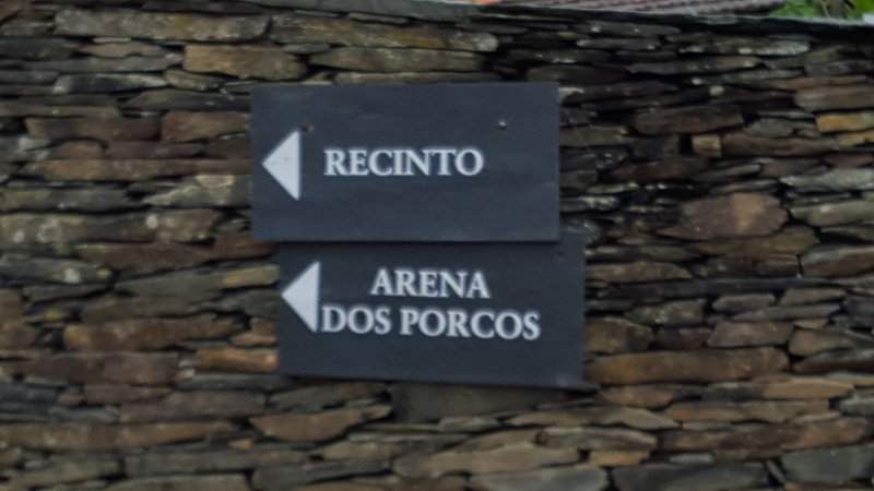 20151004_155410 - Cópia - Cópia