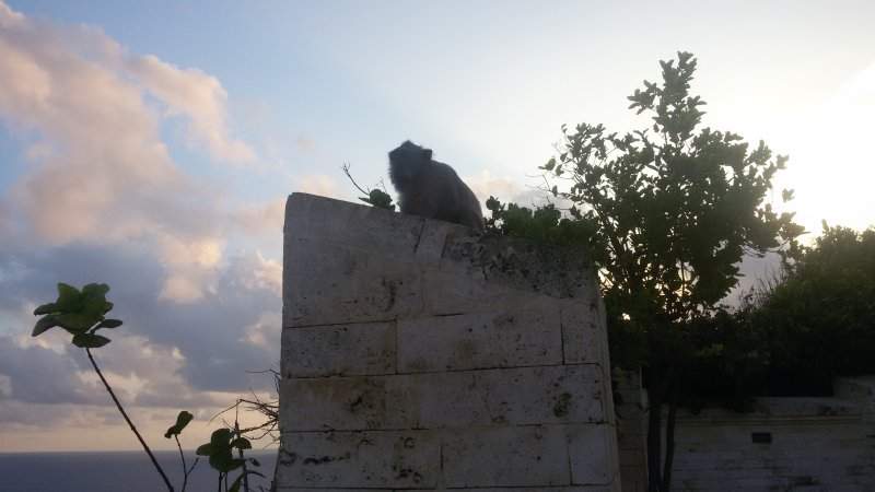 20160606_174219