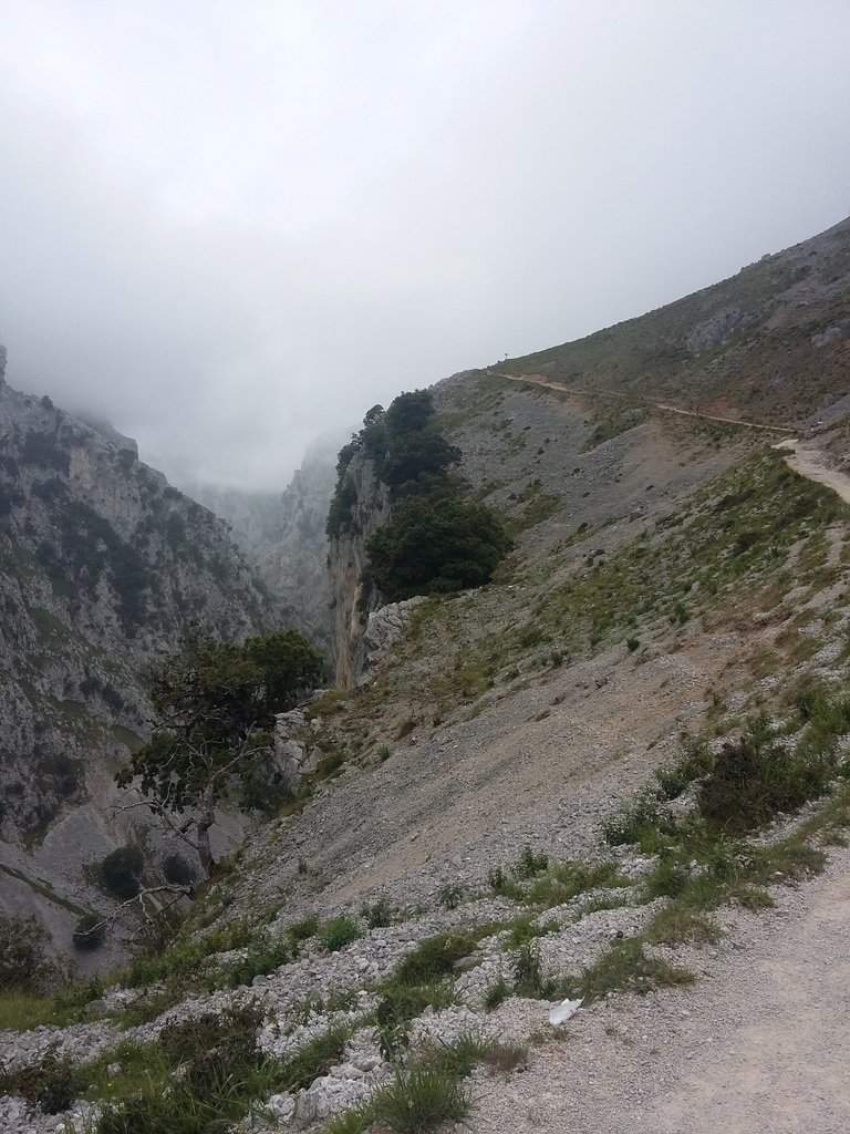 20170624_152404
