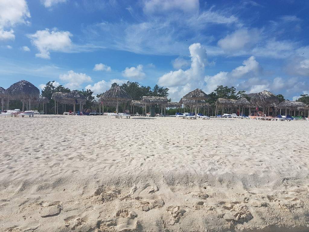 20170727_094432[1] (Copiar)