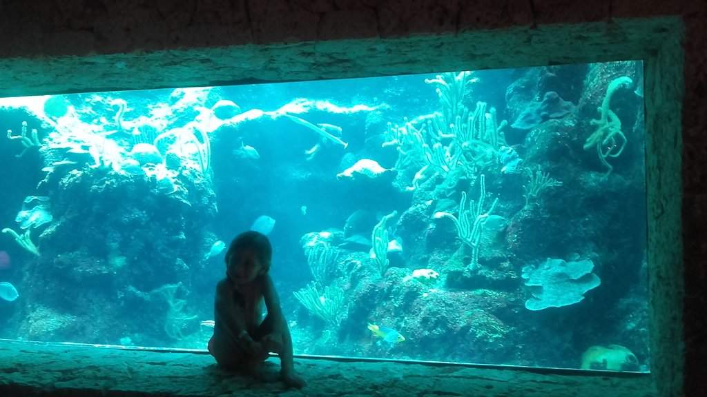 20170916_121235