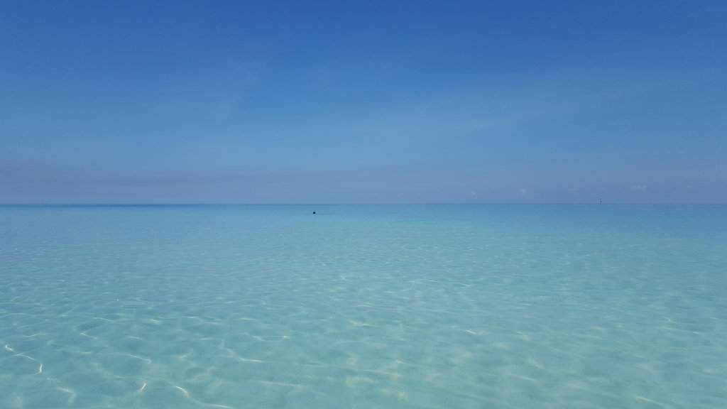 20180605_150345