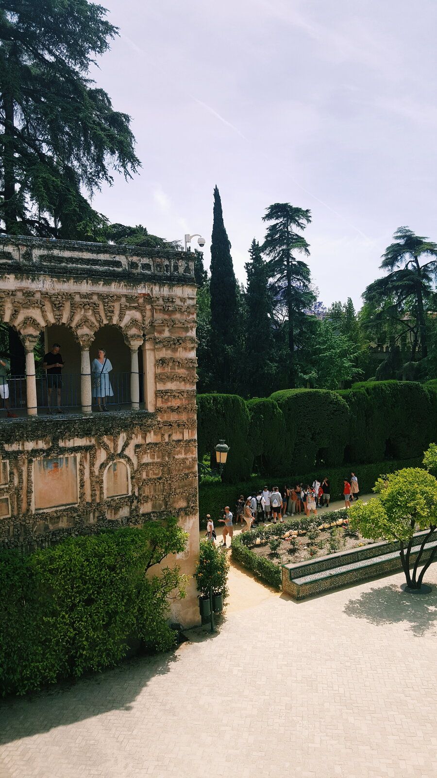 2019-06-07 08.34.57 1.jpg