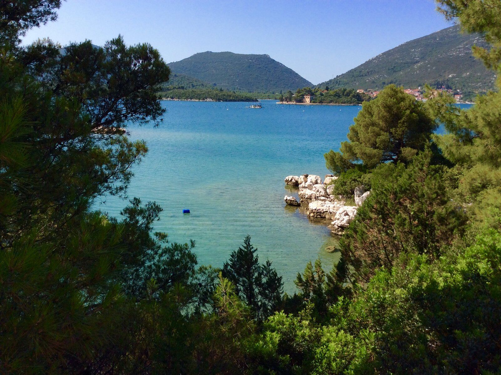 2019-07-01 08.33.35.jpg
