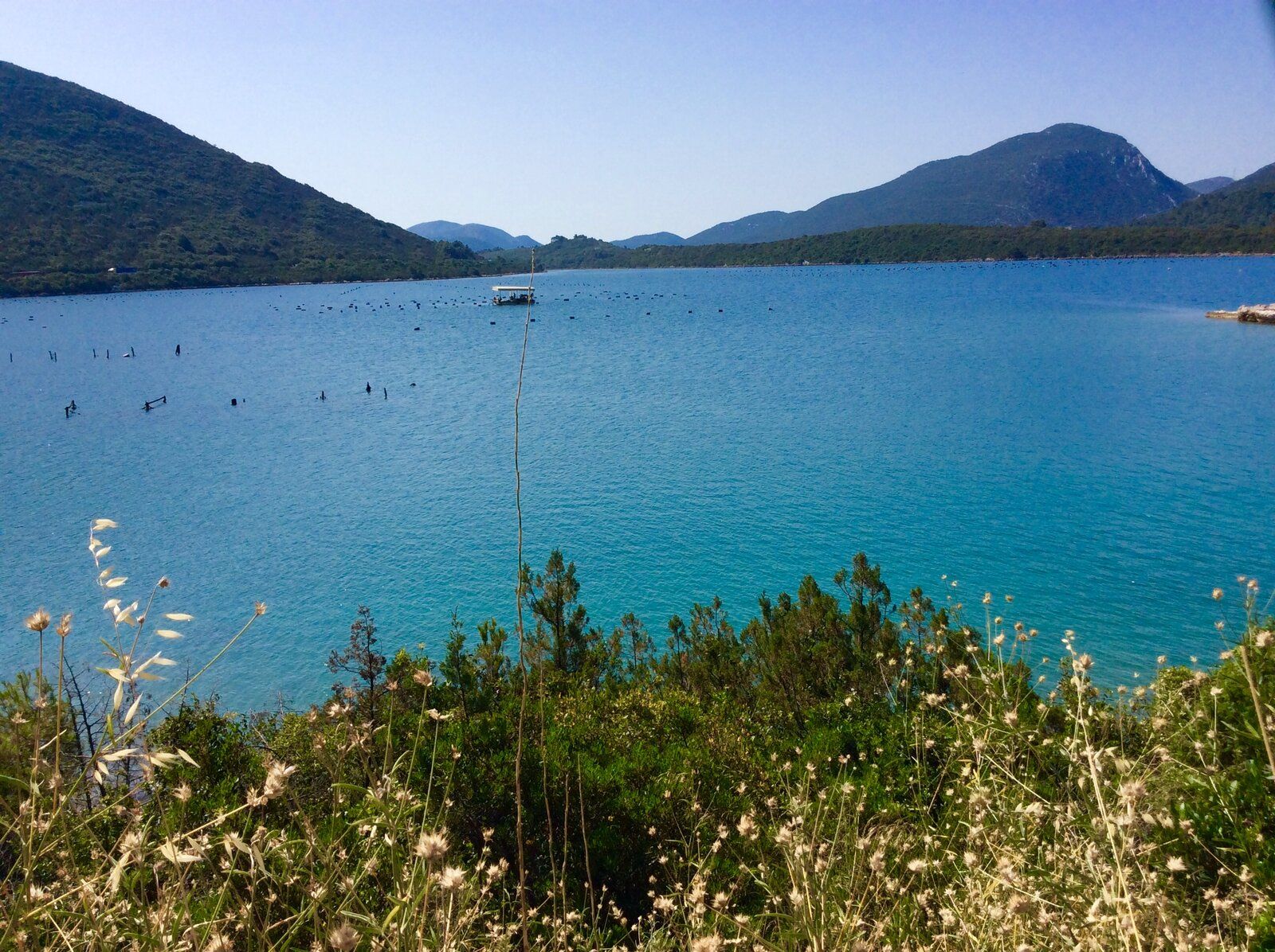 2019-07-01 08.34.51.jpg