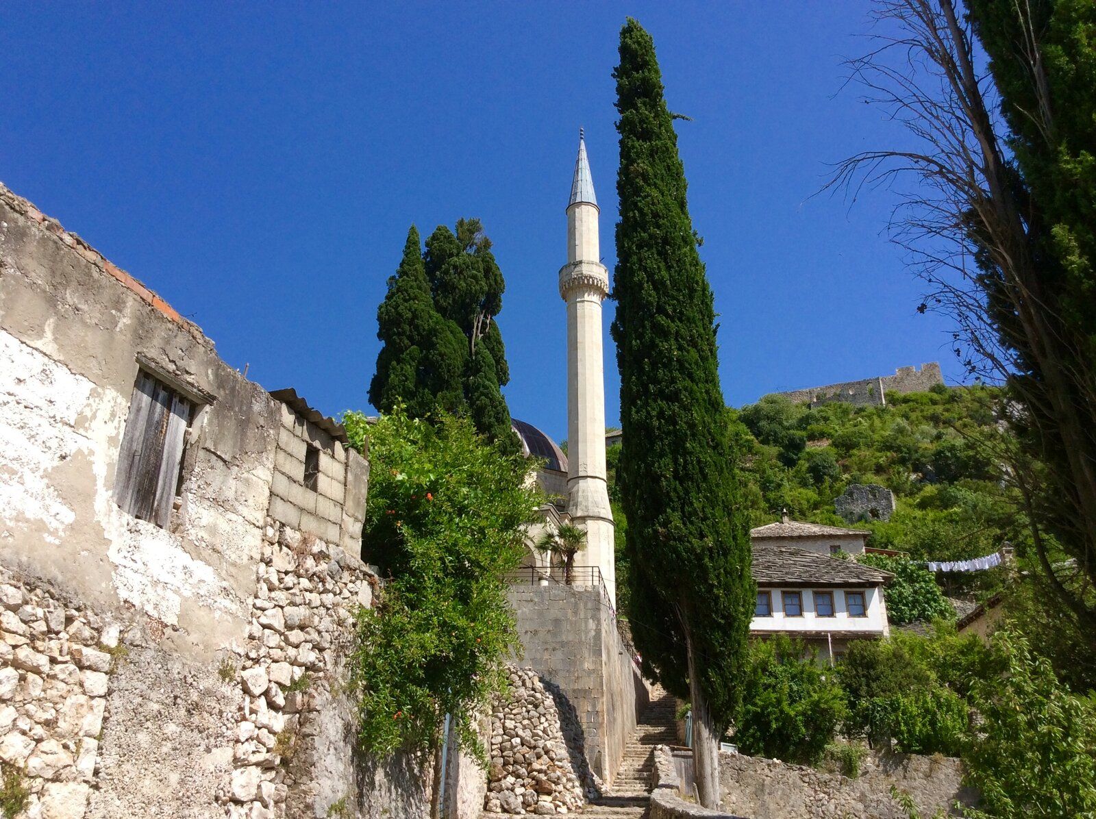 2019-07-01 14.29.52.jpg