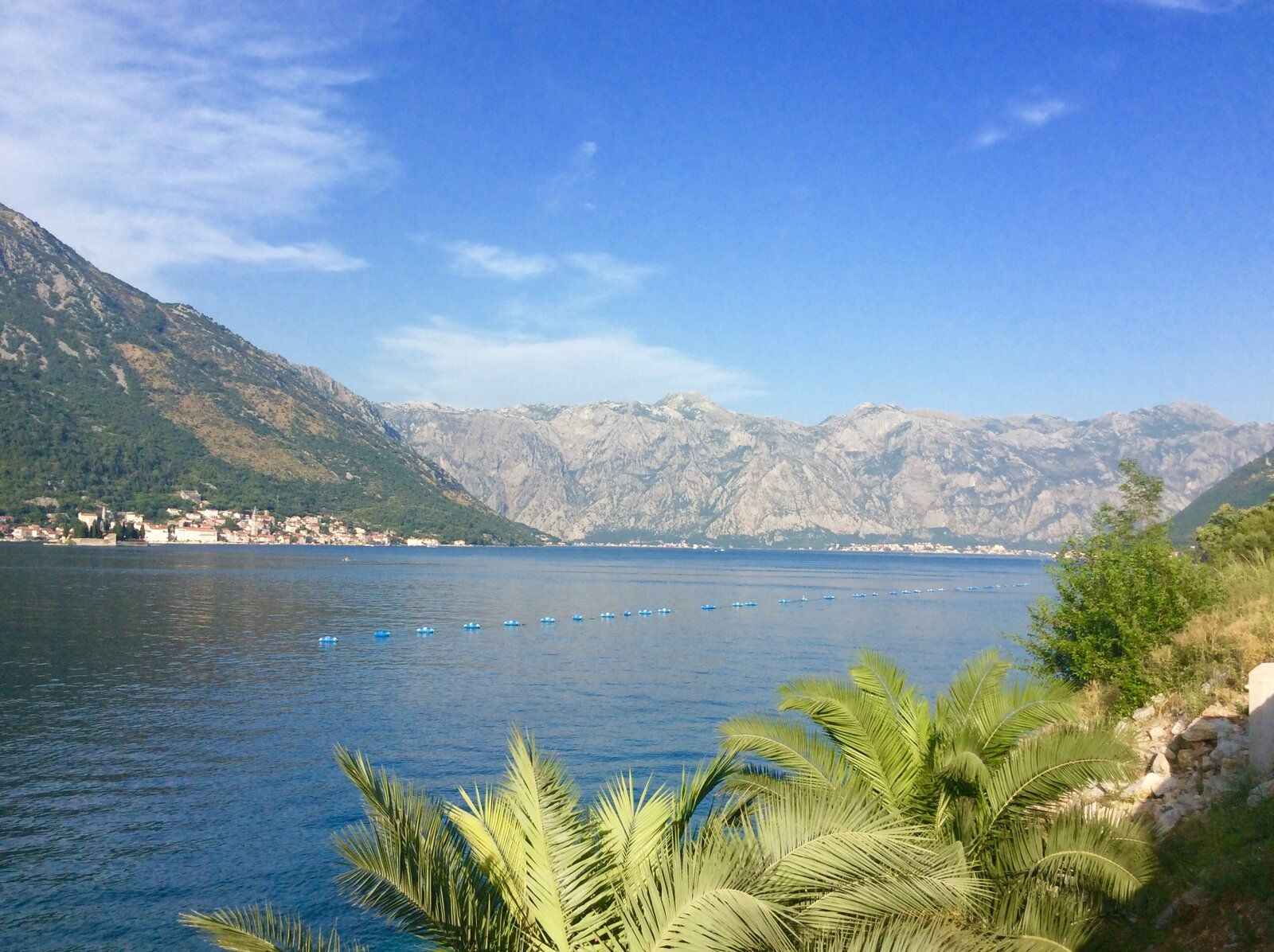 2019-07-02 17.26.33.jpg
