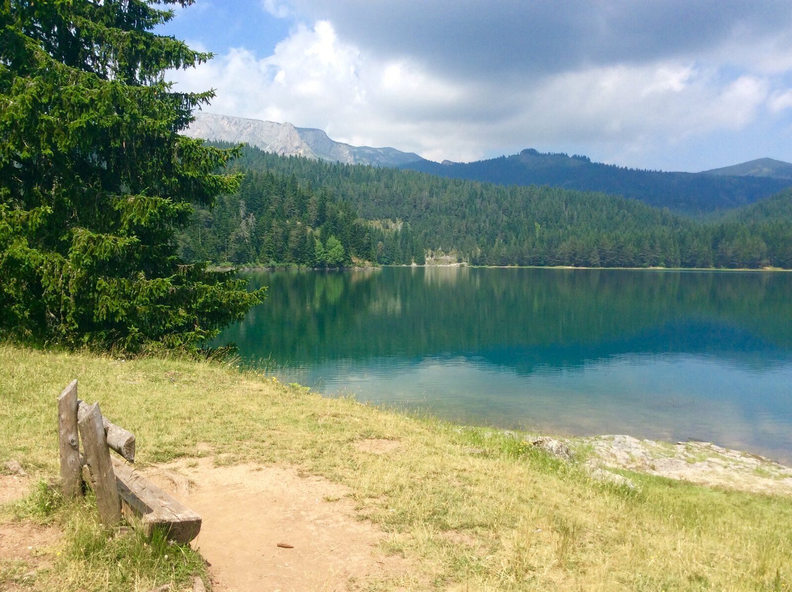 2019-07-04 10.42.31.jpg