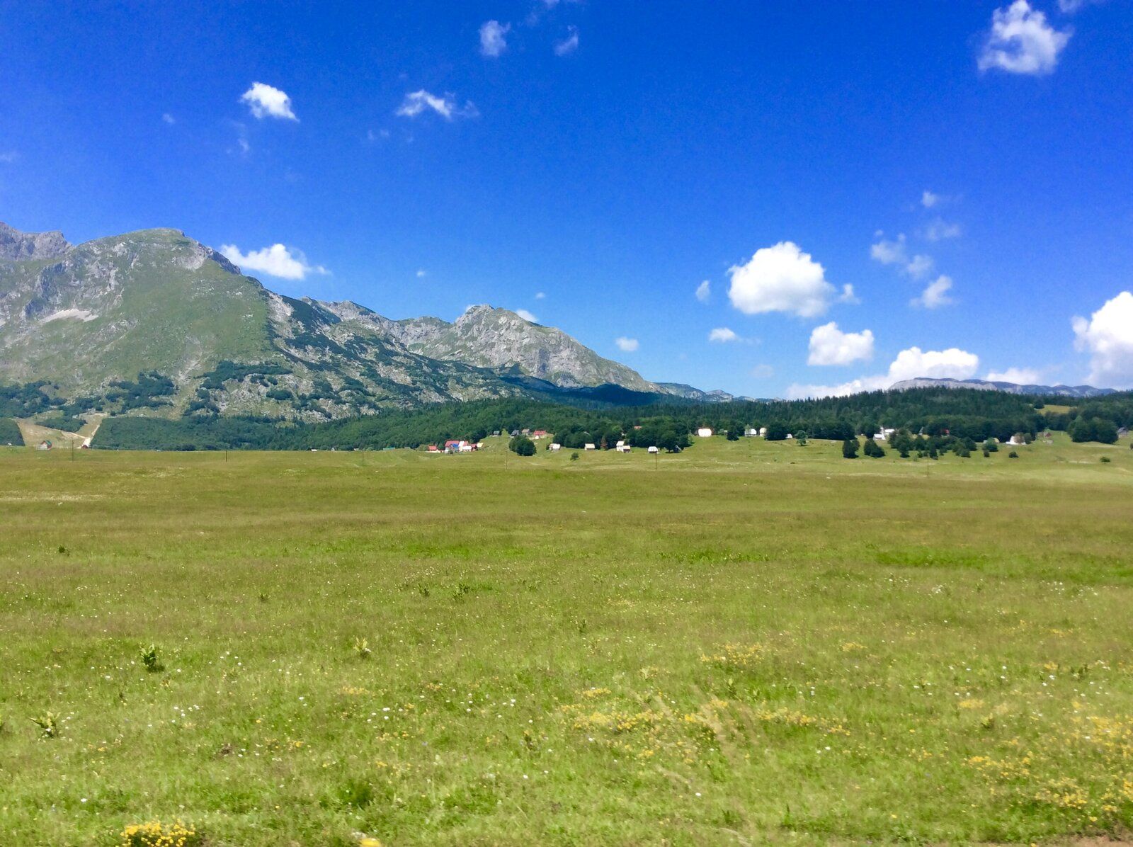 2019-07-05 10.59.41.jpg